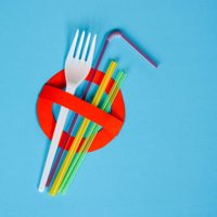 lessplasticplease (@plasticprojects) 's Twitter Profile
