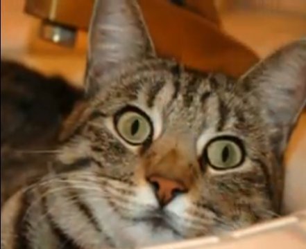 isonglist's profile picture. I'm a music lover with http://t.co/Da1WTX81tT
I'm also a freelance painting artist, check my art works on
http://t.co/aOSwDA1p7D