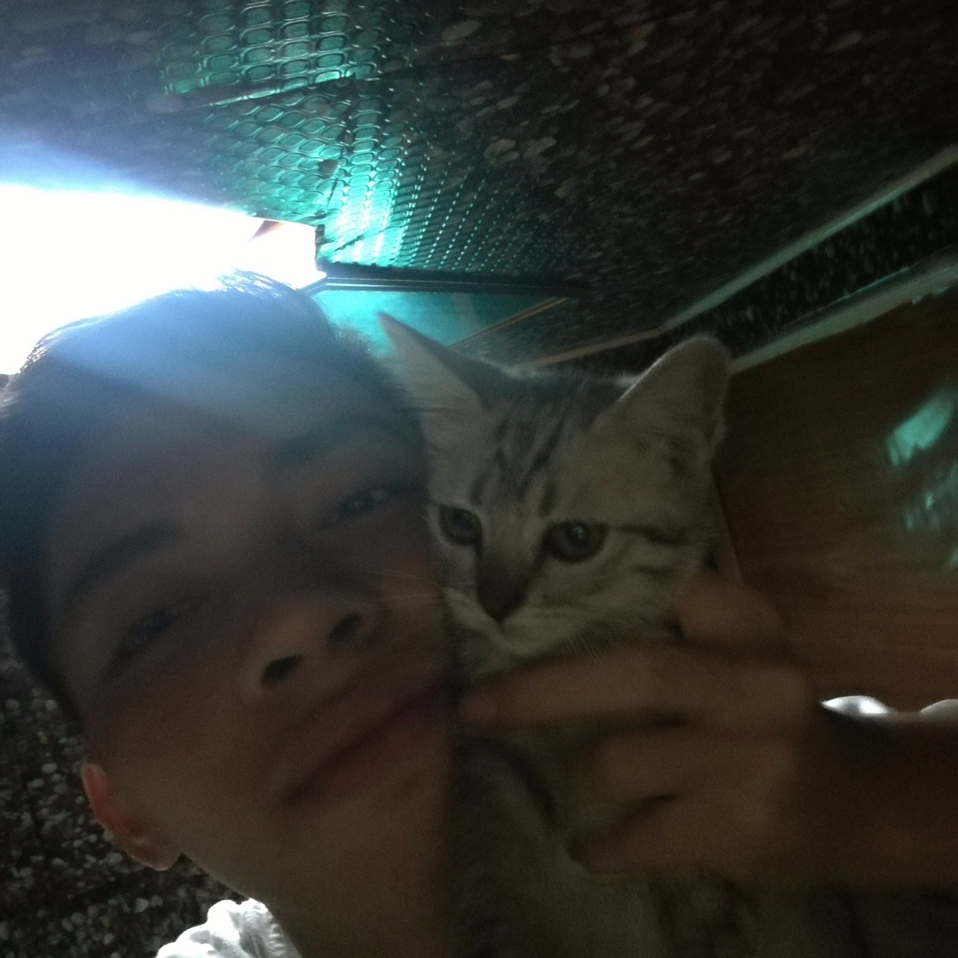 jhnllydsrrno's profile picture. still blessed😍