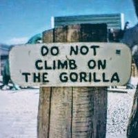 Robert Chevaleau(@uNoClimbGorilla) 's Twitter Profile Photo