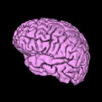 kristin ikeda (@seizuredoctor) 's Twitter Profile Photo