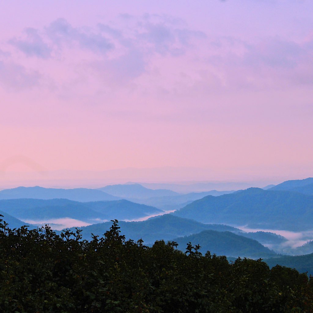 BeccaRiopel's profile picture. clt