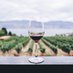 Euan Davidson (@wine_developer) Twitter profile photo Euan Davidson (@wine_developer) Twitter profile photo