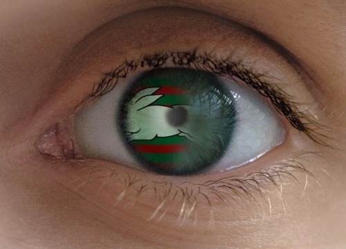 unleashedbunny's profile picture. Rabbitohs fanatic in Brissie, into wine, reading and most sports. Let's get our tweet on.