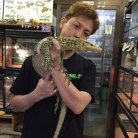 🍺こう🦎🍻🍢 (@wing_21) 's Twitter Profile Photo 🍺こう🦎🍻🍢 (@wing_21) 's Twitter Profile Photo