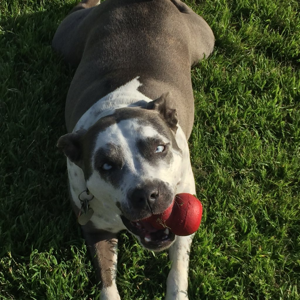 Noodles70's profile picture. 