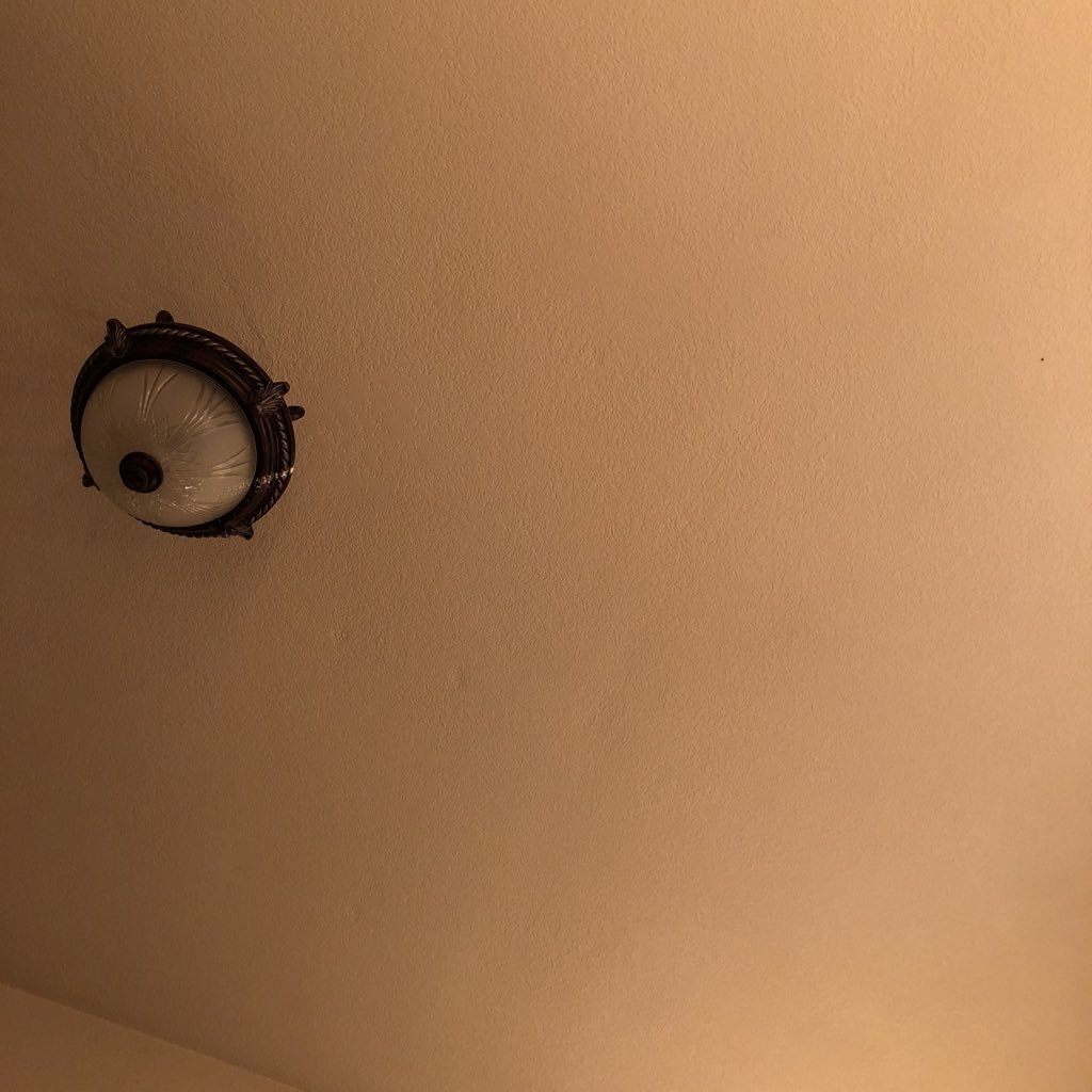 rottenni's profile picture. 