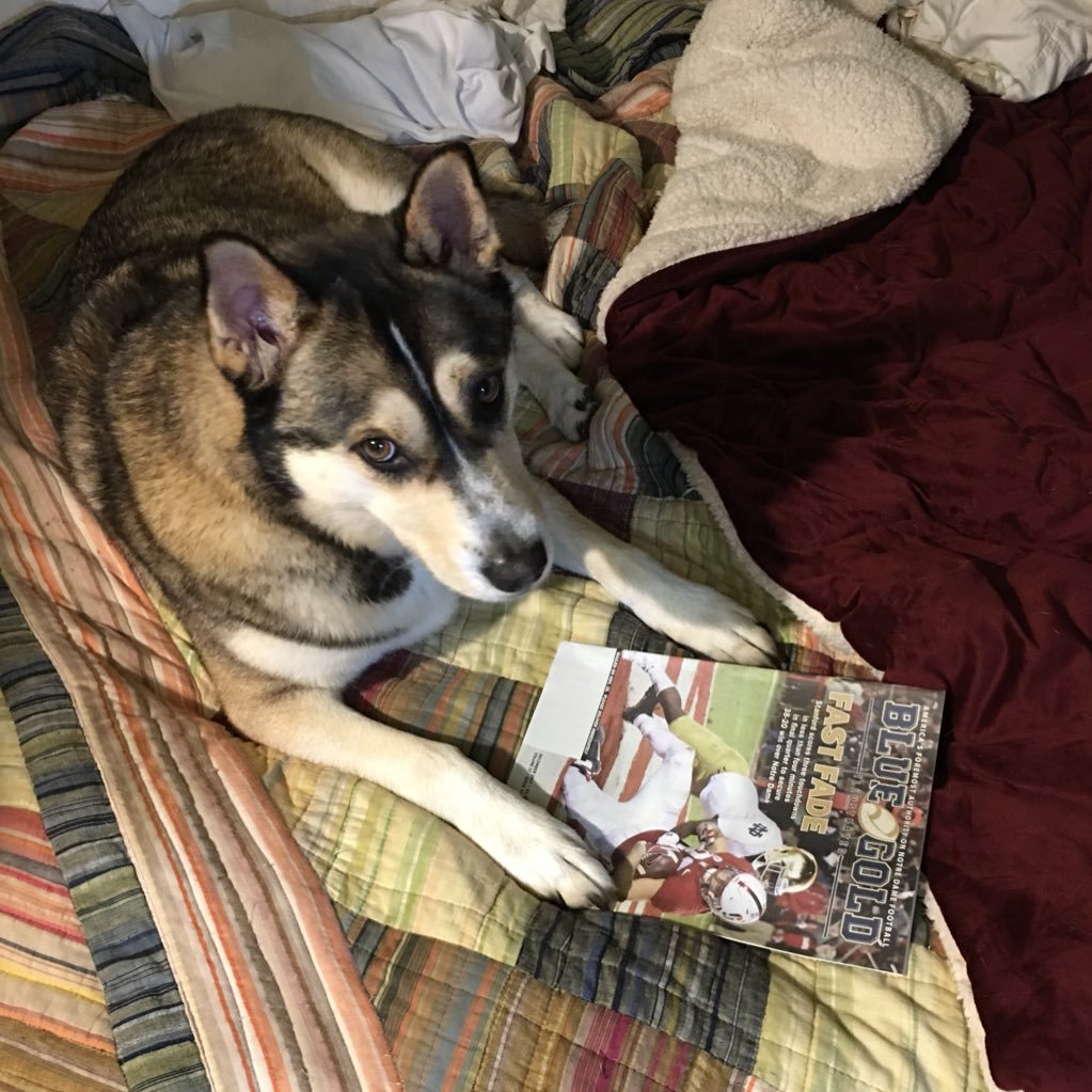 hpilawski's profile picture. 