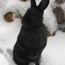 Gemma Summers - @GemSum - Twitter