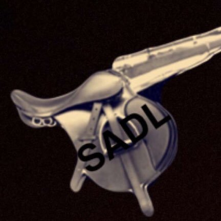 if u won’t to be in SADL all u have to do is make trick shot clips and ask me or DelanGrant