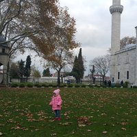 vesile koçer bora (@vesilebora) 's Twitter Profile