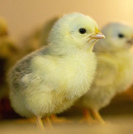 brtb's profile picture. 