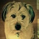 Thomas Marcus George - @bdworldofchange - Twitter