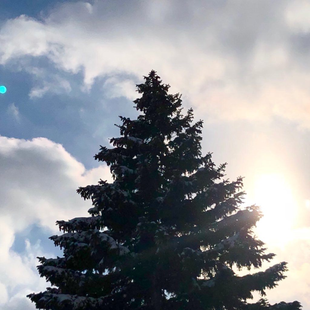 oh_fronk's profile picture. 