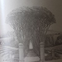 De Wet Viljoen (@kapteinwyn) 's Twitter Profile