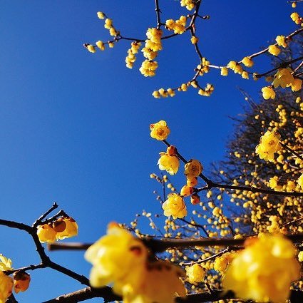 Karion168's profile picture. アジア歴史資料センターには日露戦争〜大東亜戦争について様々な資料も整理され、その目的は自衛の為東亜を明朗本然に復すと記された公文書で搾取侵略戦争ではない事が明確に。皆様の目でお調べ頂き真実を追求されて下さい。未推敲ですが、2016 年時点の2考察文はブログにて公開中。 #日本保守党 #まさる部