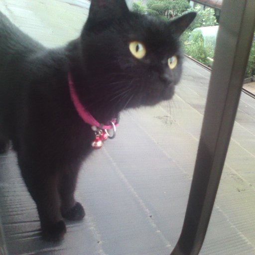 prototype2008's profile picture. 使い方がわかりません