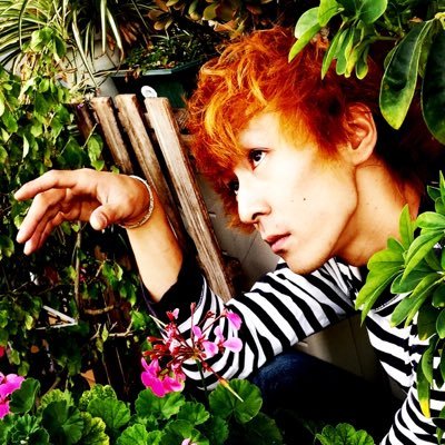 幸せの白い鳩ぽっぽさん。藤崎剛史(ふじさきたけし)と申します。Youtubeにオリジナル曲あげてます。↓↓↓良かったら聴いていってください。稚拙美(チセツビ)というオリジナルバンドのギターボーカル。路上弾き語りもやります。下北沢あたりに出没します。もう、何も恐れない。伝説。見つけろ!私事であるのであるが!!!!!!!