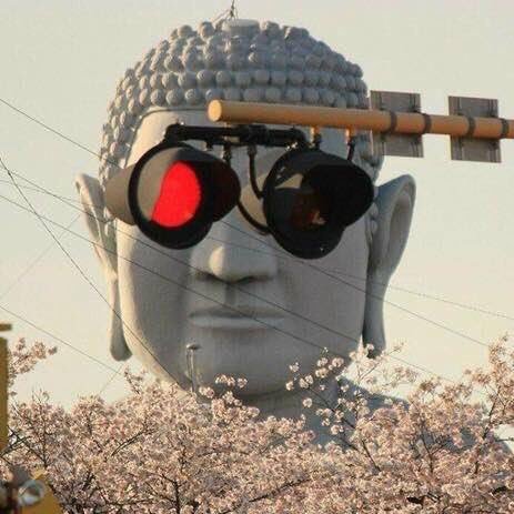 pawarit9's profile picture. เลิกใช้