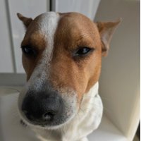 Gonzanto92 (@olmodoc) 's Twitter Profile
