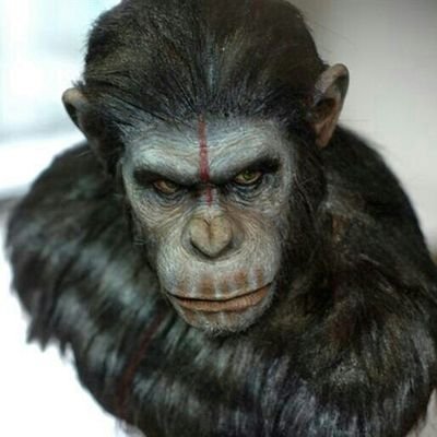 albertAEPDA's profile picture. Ni oblit ni perdó