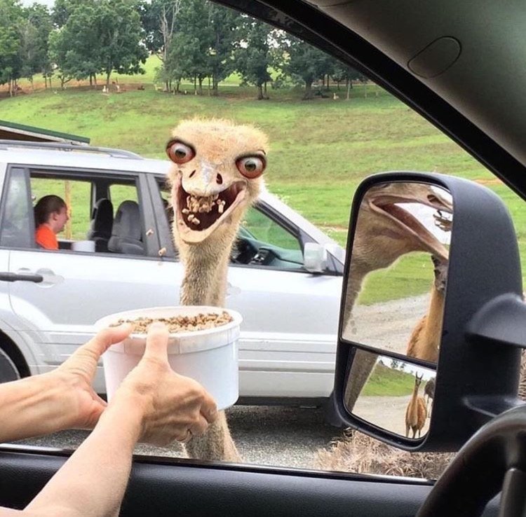 Powerdesign4's profile picture. 