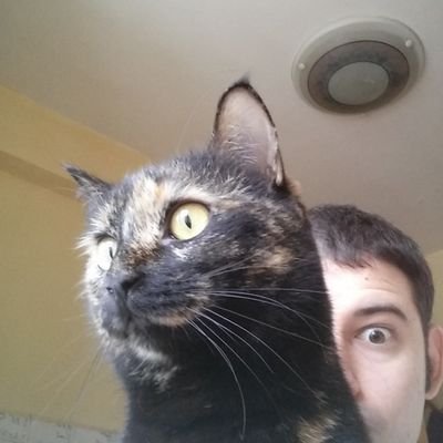 Sono quello nella foto! Studio cose di computer e convivo col mio gatto(in realtà le pago l'affitto).