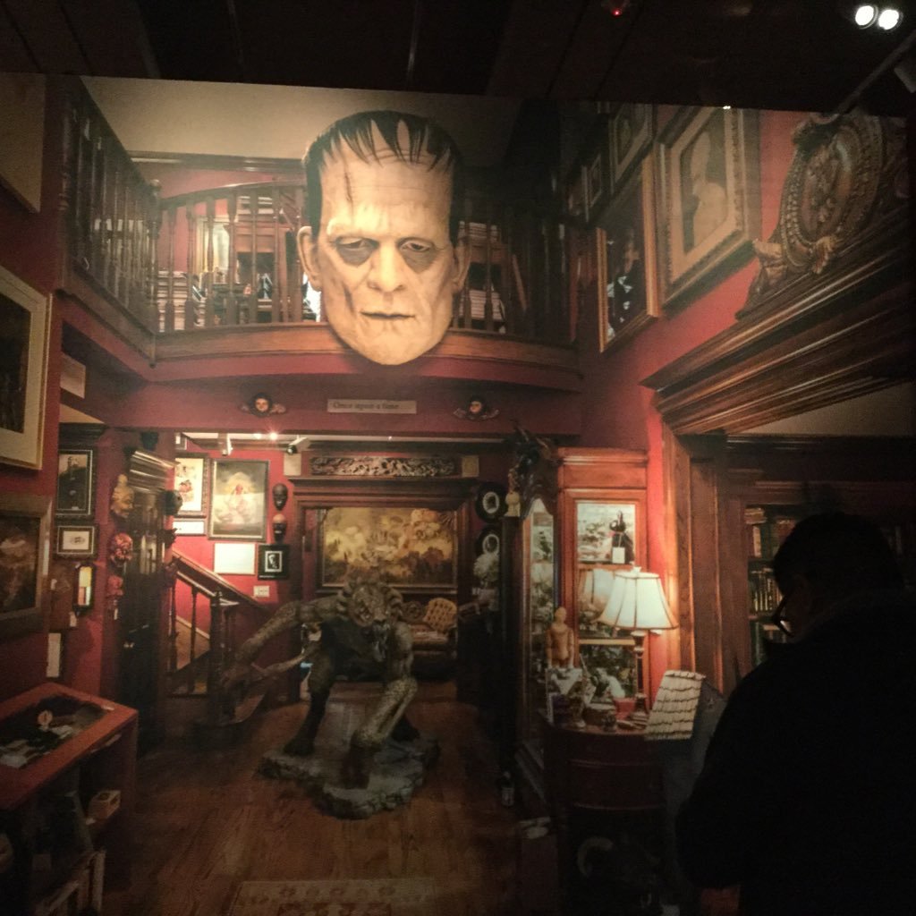 Foliolit6's profile picture. 