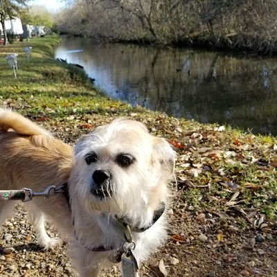 SprongJim's profile picture. All tweets are my own and may not reflect the opinions of The Home Depot.