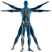 A Healthy Body (@ahealthybod) 's Twitter Profile Photo A Healthy Body (@ahealthybod) 's Twitter Profile Photo