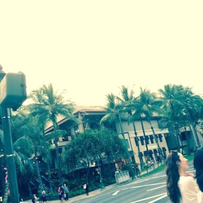 kpip64O0Q2Gz1uq's profile picture. 