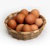 El Gallinero (@gallineroel) Twitter profile photo El Gallinero (@gallineroel) Twitter profile photo