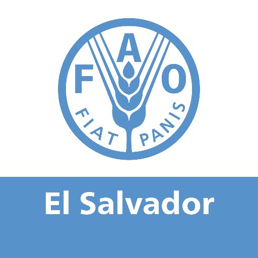 FAOElSalvador Profile Picture