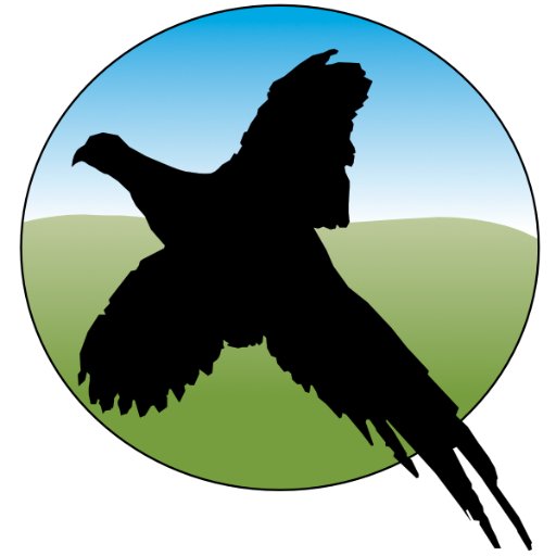 b_livedesign's profile picture. B-Live Design are a Web and Media design solutions provider based in North Norfolk specializing in custom and distinctive web and media for rural enterprises.