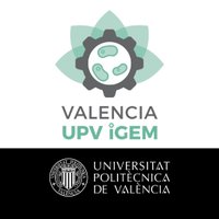 Valencia UPV iGEM (@upvigem) 's Twitter Profile
