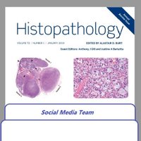 Histopathology(@Histo_Journal) 's Twitter Profile Photo