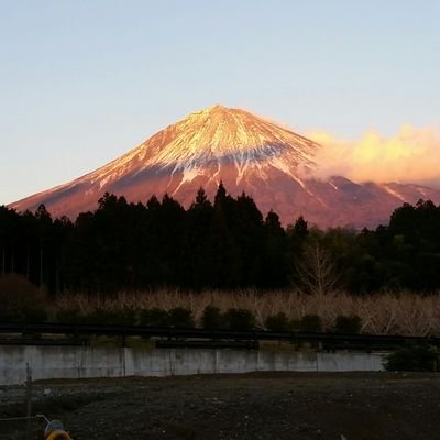 Bell猫さんのプロフィール画像