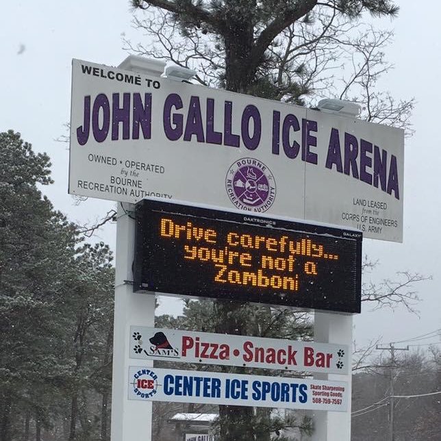 Located on the banks of the Cape Cod Canal, this sk8ing rink is a gr8 place to watch any on-ice activity! Gallo Ice Arena... the coolest place to sk8!