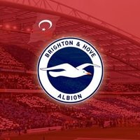 Brighton Türkiye(@BHAFCTR) 's Twitter Profileg