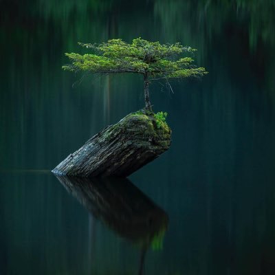 AbKhalilian's profile picture. Best never rest