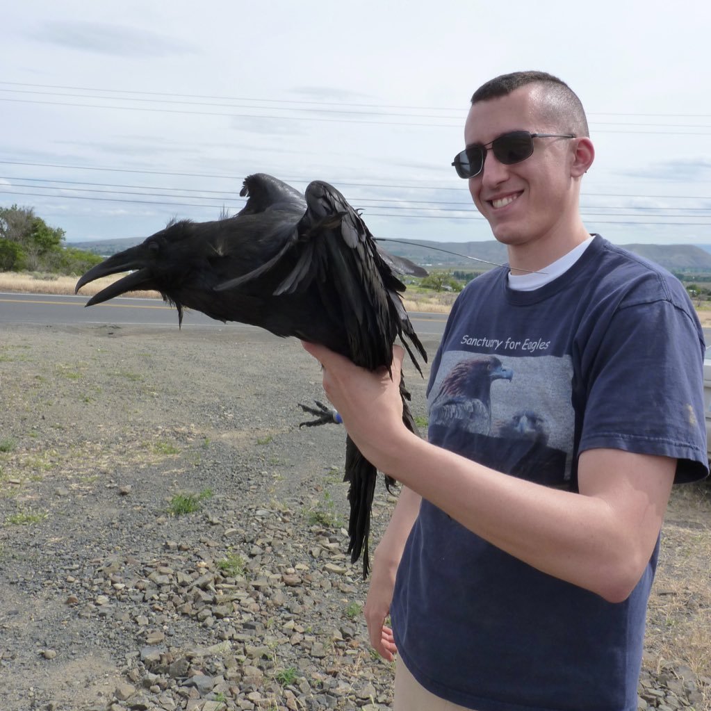I'm an instructor of animal behavior at the University of Washington. I also study crows: what are they capable of, and what are they saying to each other?