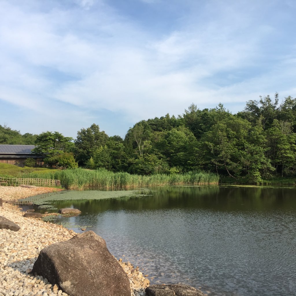 Shibattttta0415's profile picture. 旅する田舎者