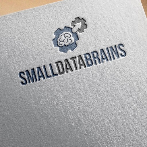 smalldatabrains's profile picture. 