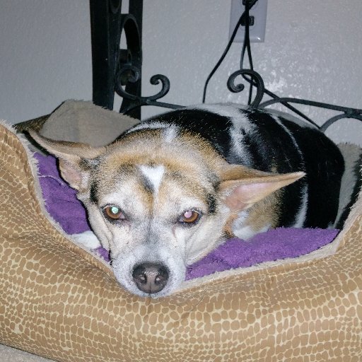 Dave_B_Photos's profile picture. Fire Buff, and PHOTOGRAPHY, Stringer for Hazleton Standard Speaker.