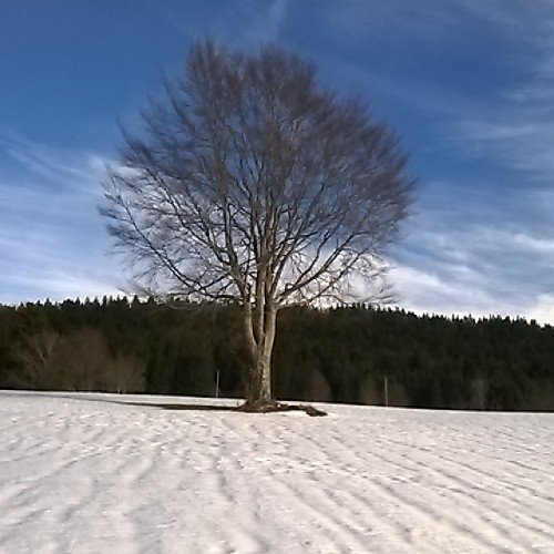 Randonneur en montagne