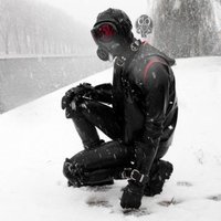 Gizmo (@orbinobot) 's Twitter Profile