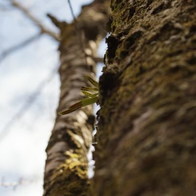 4ura____aka___'s profile picture. 