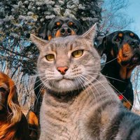 EasyCoinInfo🛸🛸🛸 (@easycoininfo1) 's Twitter Profile