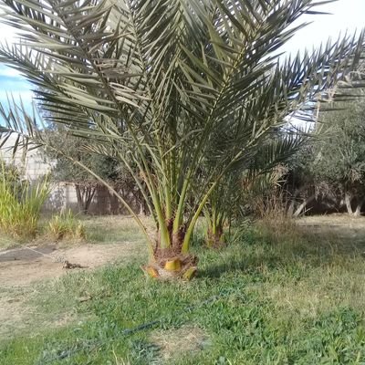 Rpei6Y5TILHvNSj's profile picture. 