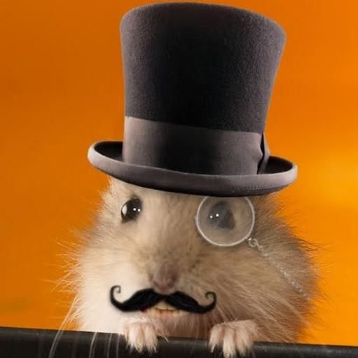 BaronVonHamstersさんのプロフィール画像